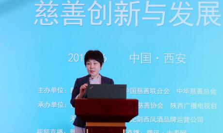 2017丝绸之路国际慈善公益合作与可持续发展高峰论坛在西安举行