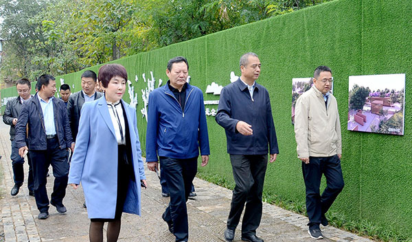 杨广亭副市长调研长安唐村
