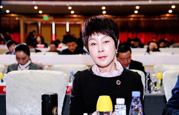 天朗控股集团董事长孙茵女士当选陕西省秦商总会副会长