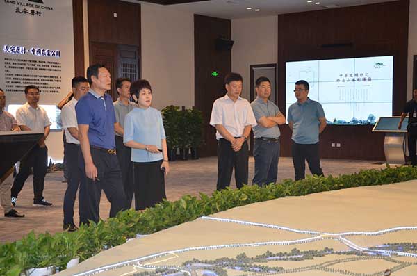 西安市统筹办主任倪广天来长安唐村展示区调研指导