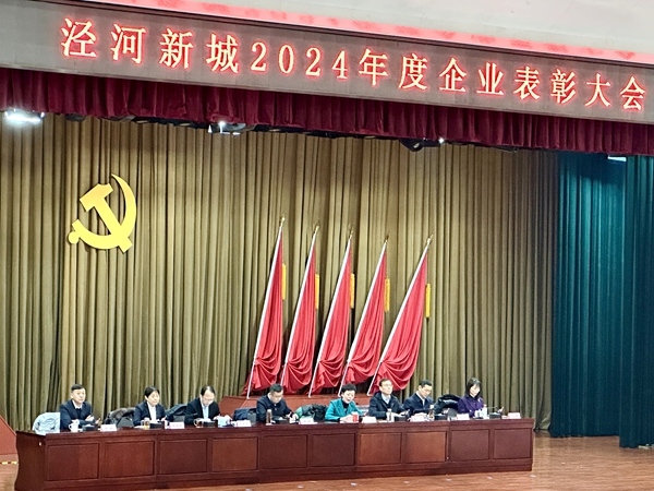 陕西泾诚朗筑荣获“泾河新城2024年度惠民生保稳定优秀企业”